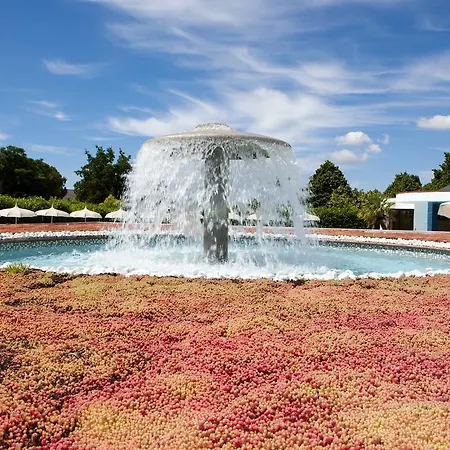 Hotel Salus Terme - Adults Only